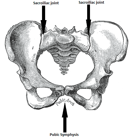 prenatal chiropractor doreen mernda